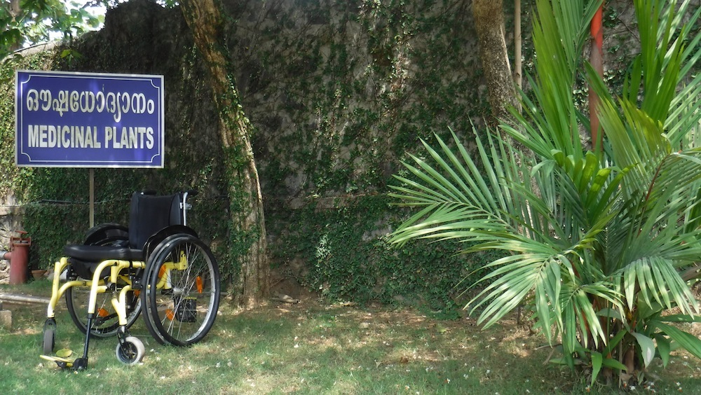 Traitement ayurvédique