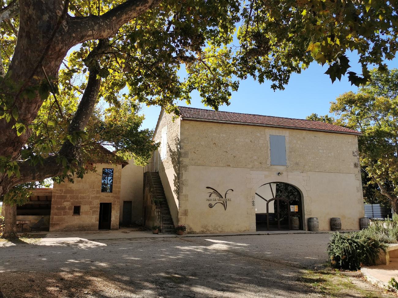 Dégustation de vin en Camargue