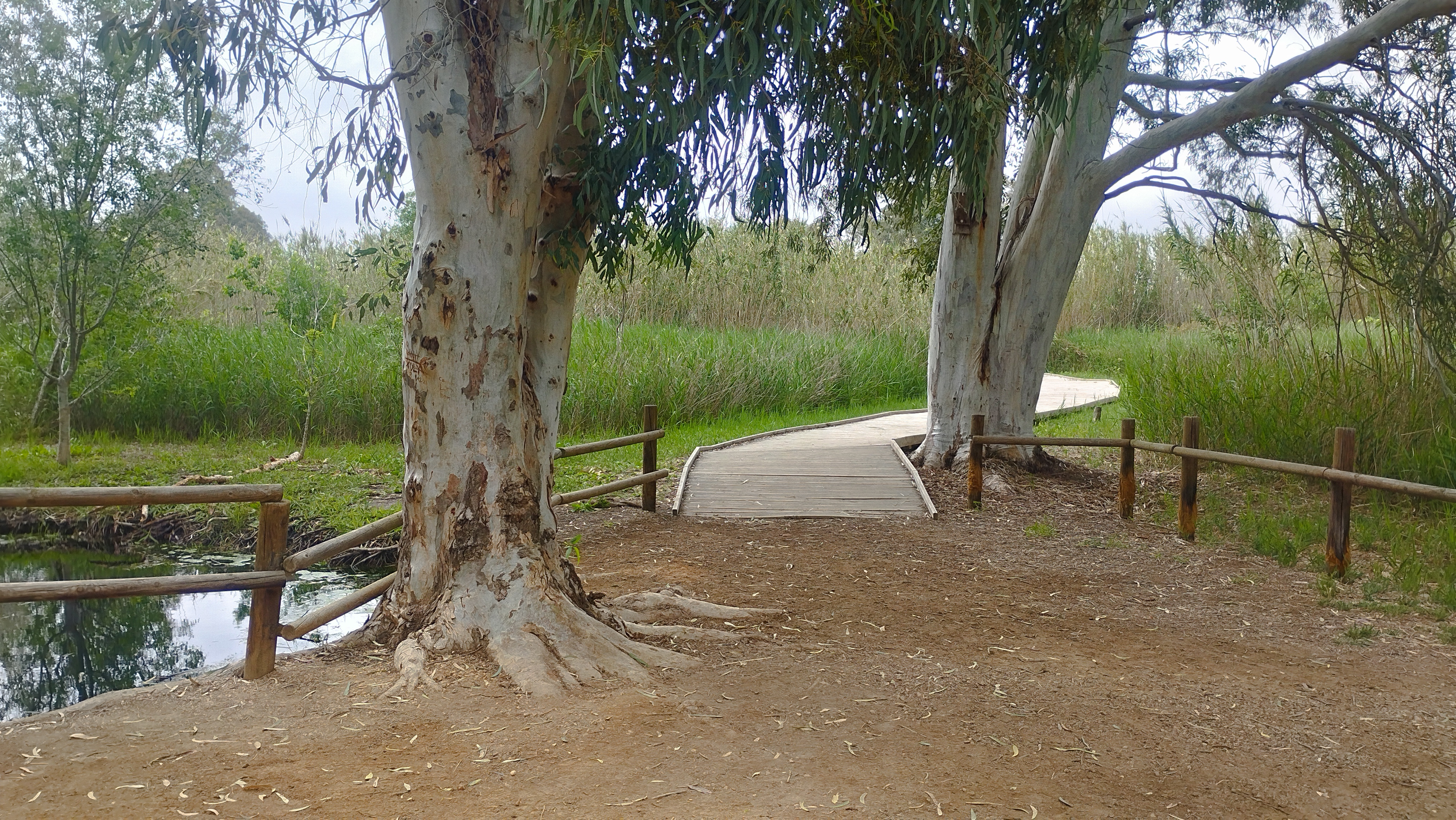 Accessibilité dans le Delta de l'Ebre