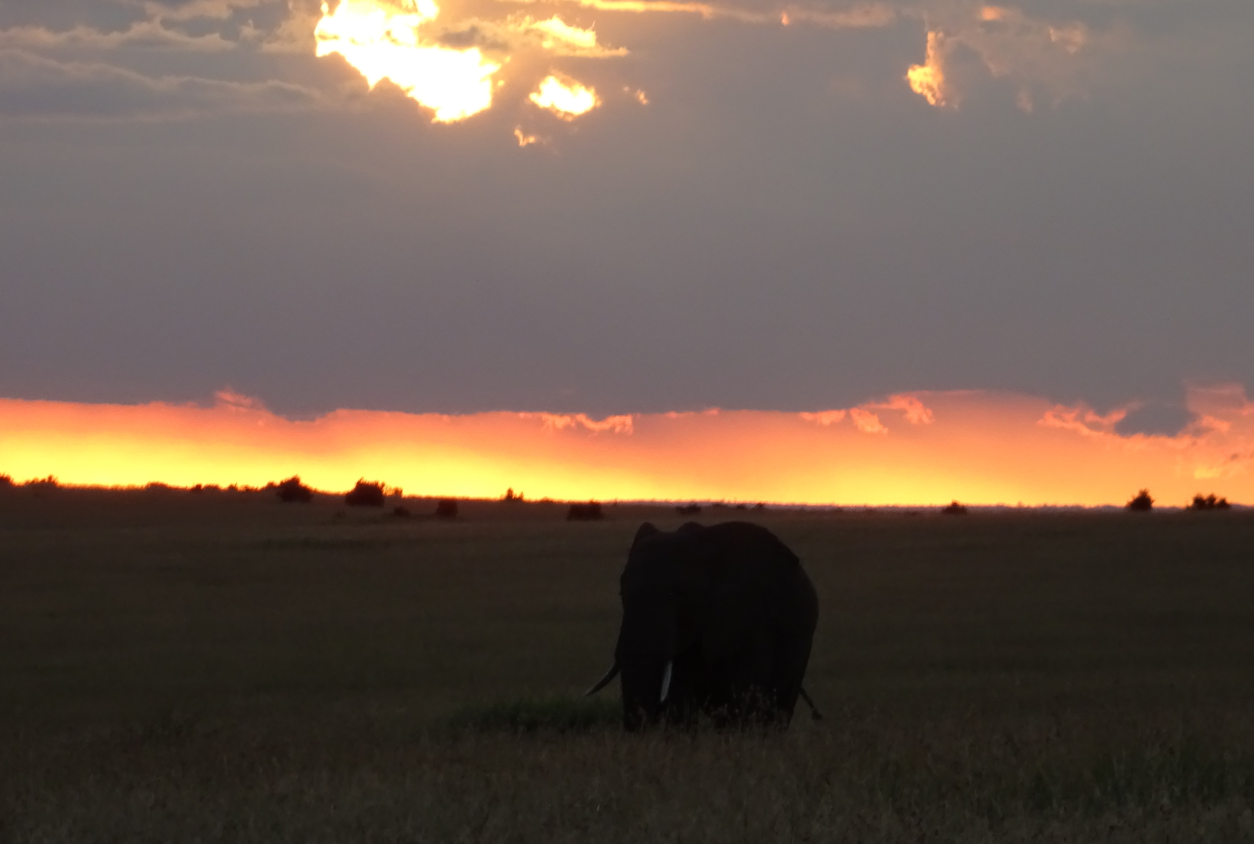 Les réserves naturelles