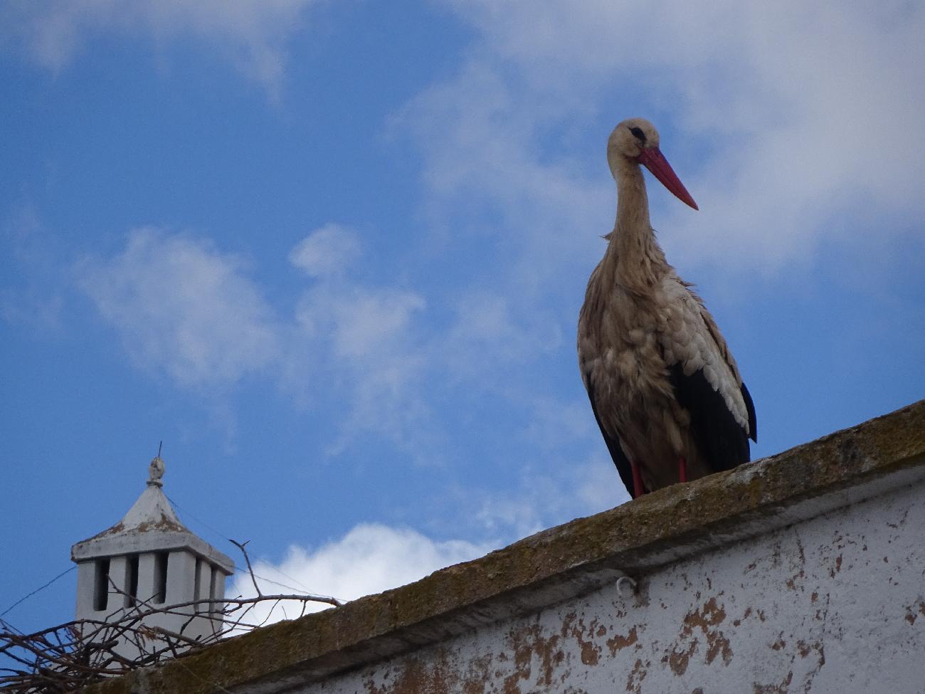 Région de l'Algarve